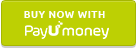 pay u money logo